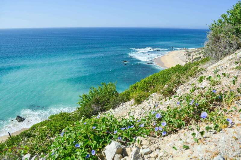 Cabo San Lucas: Private Jeep Tour to Cabo Pulmo & Snorkeling - Frequently Asked Questions (FAQs)