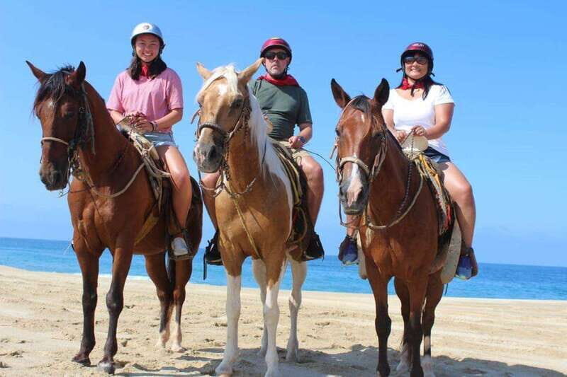 Cabo San Lucas: Scenic Horseback Ride Along the Corridor - What Could Be Improved?