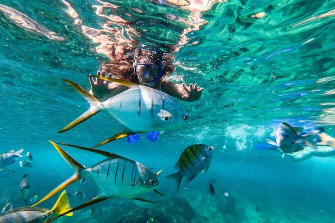 Cabo San Lucas Shopping, Tequila Tasting, and Snorkel Tour - What the Tour Entails: A Day Packed with Highlights