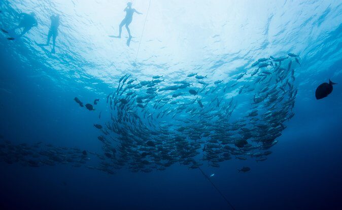 Cabo San Lucas Shopping, Tequila Tasting, and Snorkel Tour - Who Is This Tour Best For?