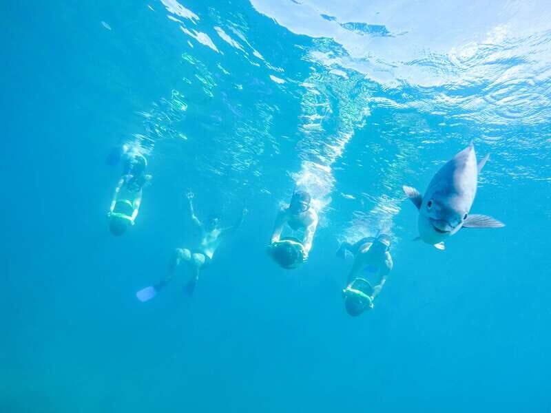 Cabo San Lucas: Snorkel, Paddle-board, and/or Kayak Tour - What to Expect from the Tour