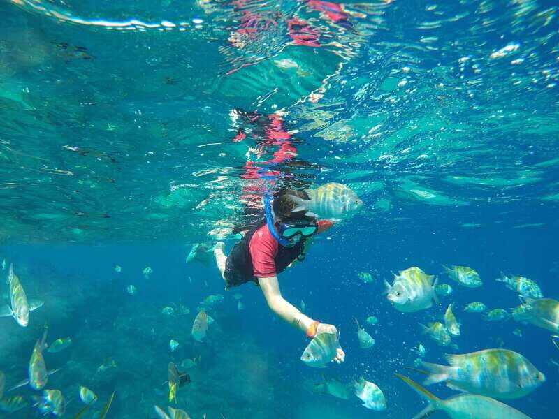 Cabo San Lucas: Snorkel, Paddle-board, and/or Kayak Tour - The Sum Up