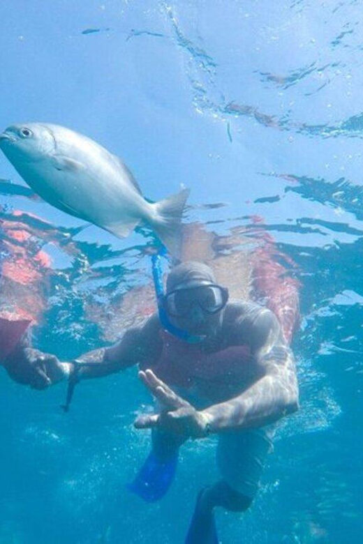 Cabo San Lucas: Snorkeling and Sailing Cruise with Lunch - Is It Worth the Price?