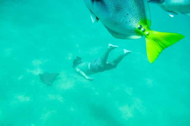 Cabo San Lucas: Snorkeling at Lovers Beach - Who Would Love This Tour?