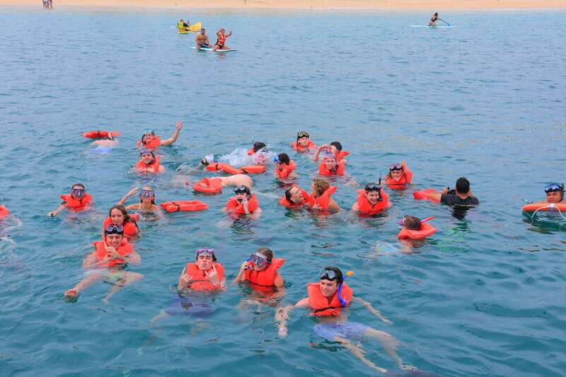 Cabo San Lucas: Snorkeling, Tacos and Chileno Bay Boat Tour - Who Is This Tour Best For?