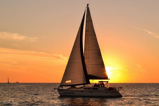 Cabo San Lucas Sunset Sailing Shared Cruise - Setting Sail: What You Can Expect on the Tour