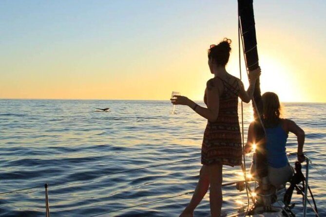 Cabo San Lucas Sunset Sailing Shared Cruise - Who Should Book This?