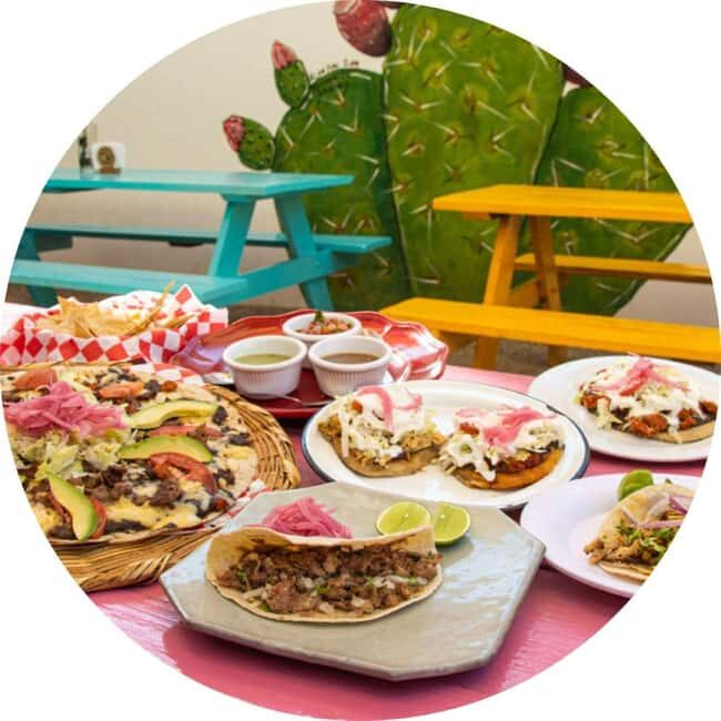 Cabo San Lucas: Taco Safari Tour - Key Points