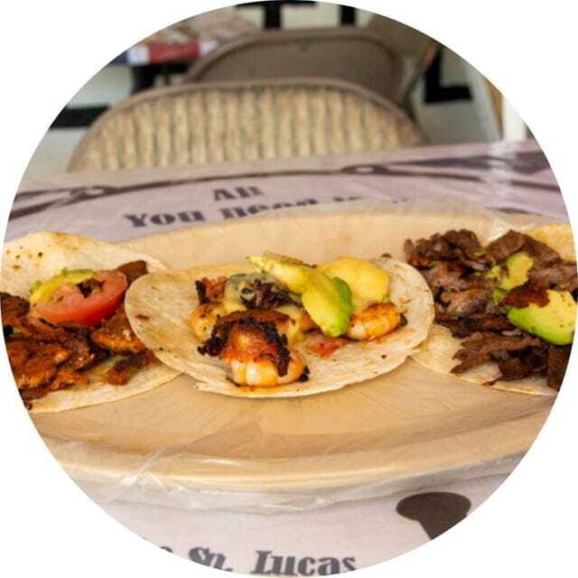 Cabo San Lucas: Taco Safari Tour - Who Should Take This Tour?