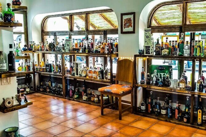 Cabo San Lucas Tequila Tasting Experience - What to Expect from the Cabo San Lucas Tequila Tasting Experience