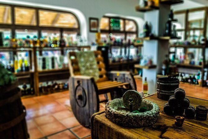 Cabo San Lucas Tequila Tasting Experience - Who Will Love This Tour?