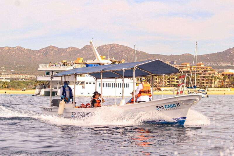 Cabo San Lucas: Tour al Arco en Barco Fondo de Cristal - In-Depth Look at the Itinerary
