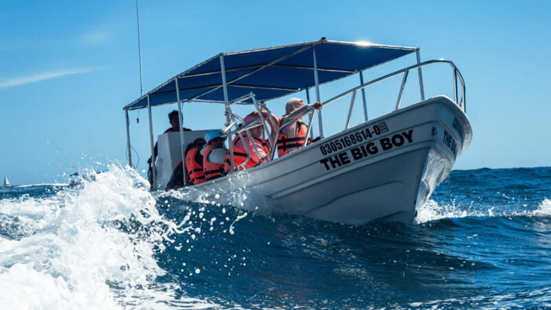 Cabo San Lucas: Tour paseo al Arco + bajada en playa - Analyzing the Value