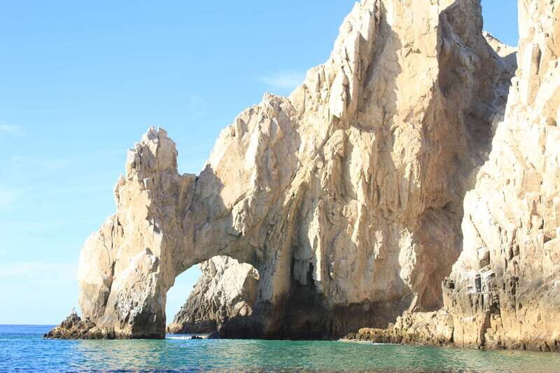 Cabo San Lucas: Up-Close Whale Watching Small-Group Tour - FAQ