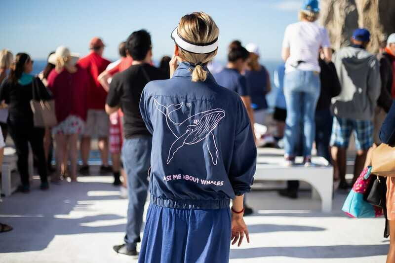 Cabo San Lucas: Whale Watching Breakfast Cruise - Final Thoughts