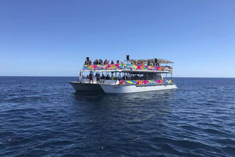 Cabo San Lucas: Whale Watching Breakfast Cruise - FAQs