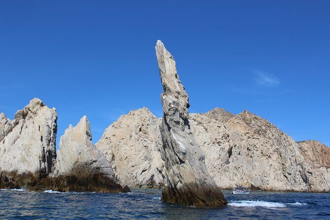Cabo San Lucas Whale Watching Tour All Included - Frequently Asked Questions