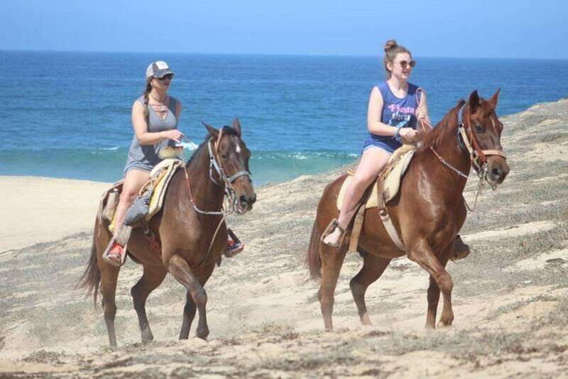 Cabo San Lucas: White Sand Horseback Adventure - Key Points