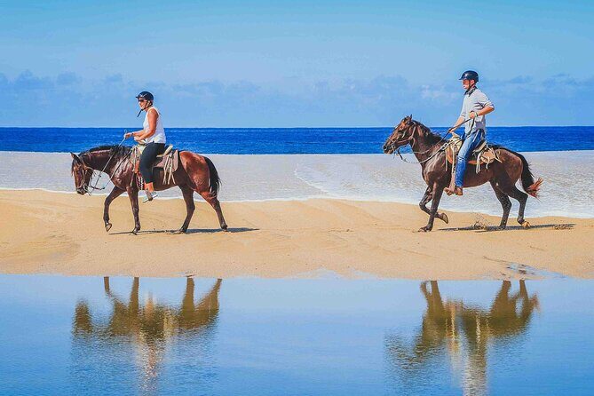 Cabo Shore Excursion: Beach Horseback Ride & Tequila Tasting - The Value for Money