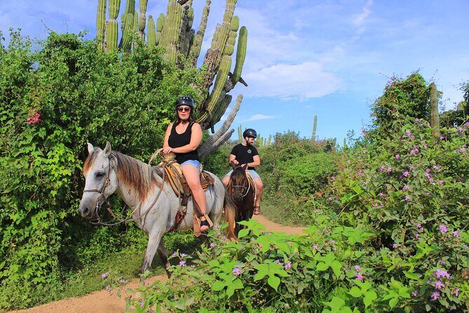 Cabo Shore Excursion: Beach Horseback Ride & Tequila Tasting - The Downsides and Considerations