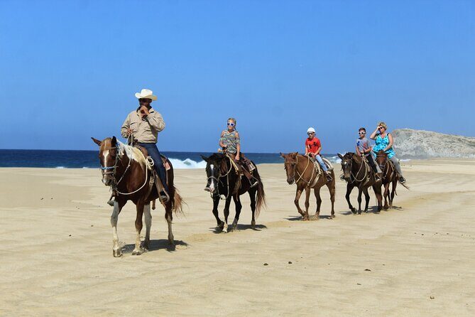 Cabo Shore Excursion: Beach Horseback Ride & Tequila Tasting - Who Should Consider This Tour?