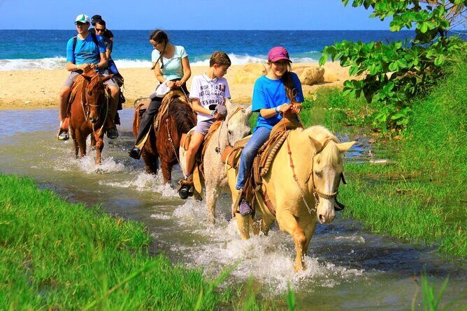 Cabo Shore Excursion: Beach Horseback Ride & Tequila Tasting - Final Thoughts