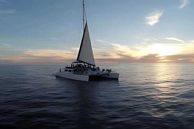 Cabo Sunset Catamaran Cruise: El Arco & Open Bar Experience - Who Is This Tour Best For?