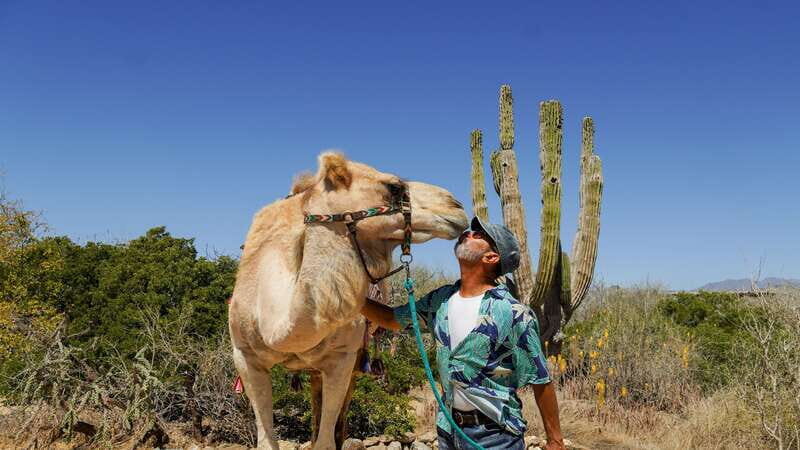 Cabo: Todo Santos Tour with Camel Ranch, Tequila and Lunch - Final Thoughts