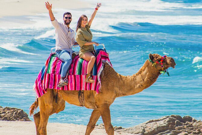 Cabo Tour Mexico Camel and Horseback Ride with ATV Adventure - An In-Depth Look at the Tour Experience