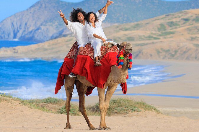 Cabo UTV and Camel Ride Combo - FAQ