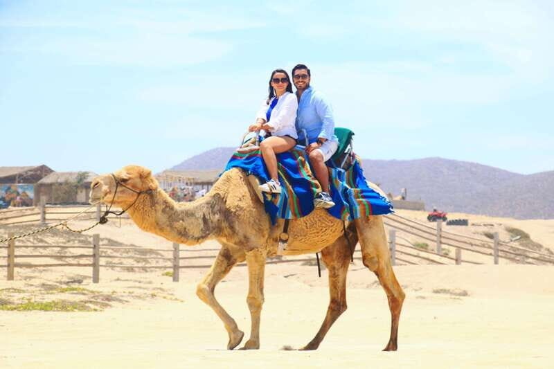 Cabo : UTV and Camel Ride in the Desert - Practical Tips for Your Adventure