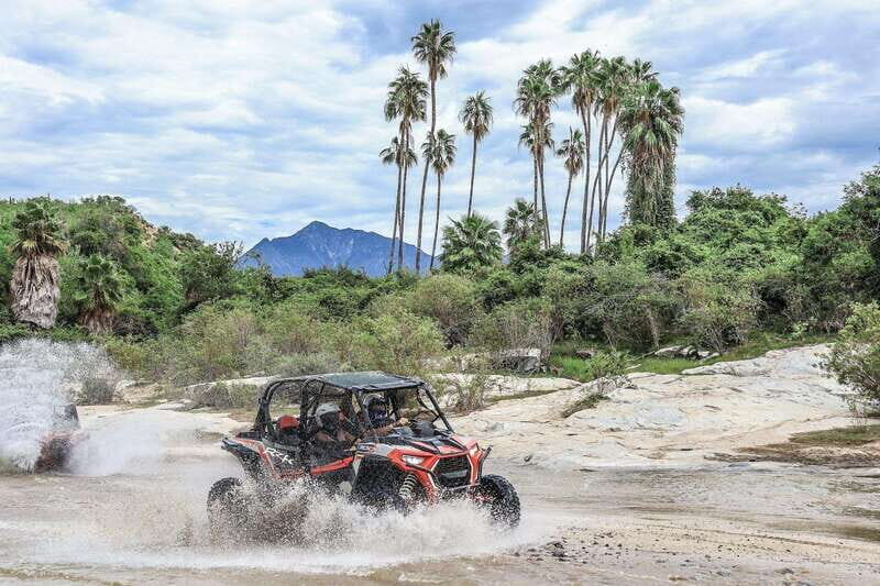 Cabo: UTV Off-Roading, Mexican Lunch, and Tequila - Pricing and Value