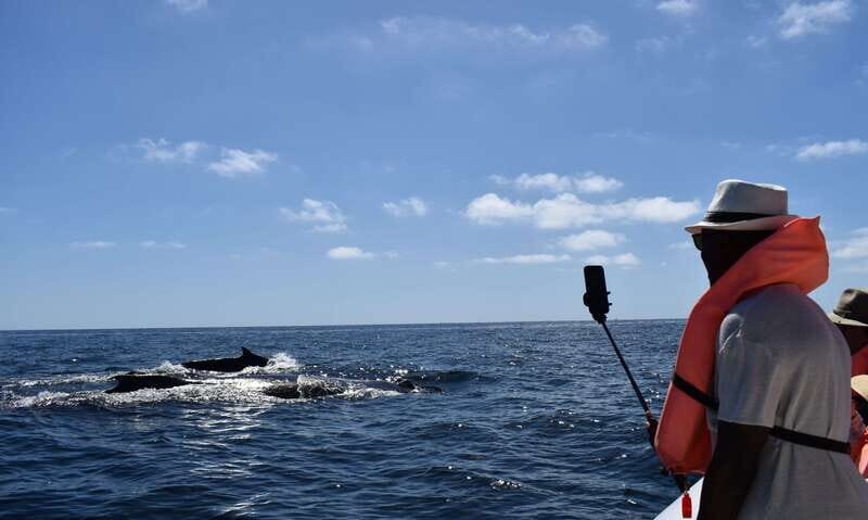 Cabo: Whale-Whatching Boat Trip w/ All-Women Crew and Photos - Final Thoughts
