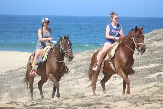 Cabo White Sand Horseback Riding Tour and Tequila Tasting - Who Should Consider This Tour?
