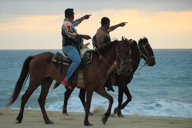 Cabo White Sand Horseback Riding Tour and Tequila Tasting - FAQs