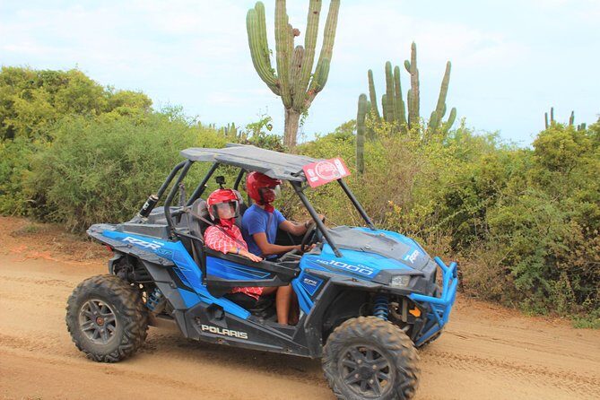 Cabo Wild Desert Tour, Polaris ATV or Razor Single, Double, Triple or Quad! - What to Expect from the Cabo Wild Desert Tour