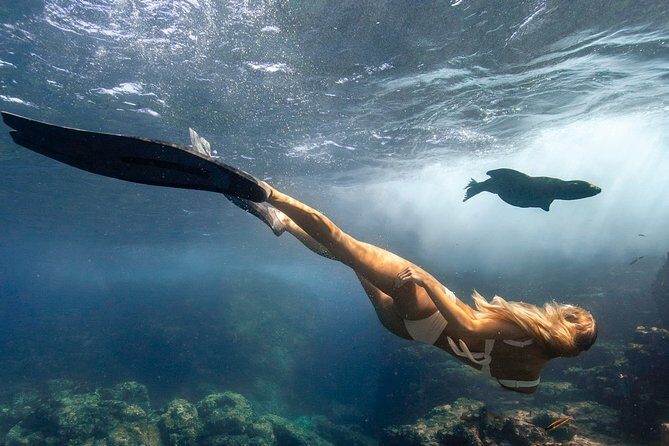 Cabo Wildlife SAFARI - The Itinerary and What You Can Expect