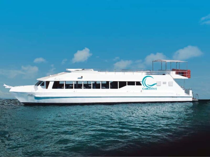 Cabos: Cabo Wave Cruise with Snorkeling, Lunch & Open Bar - Authentic Insights from Reviews