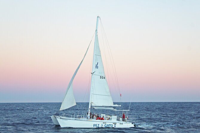 Cabo's Premier Catamaran Snorkeling: Explore the Waters! - What Travelers Are Saying