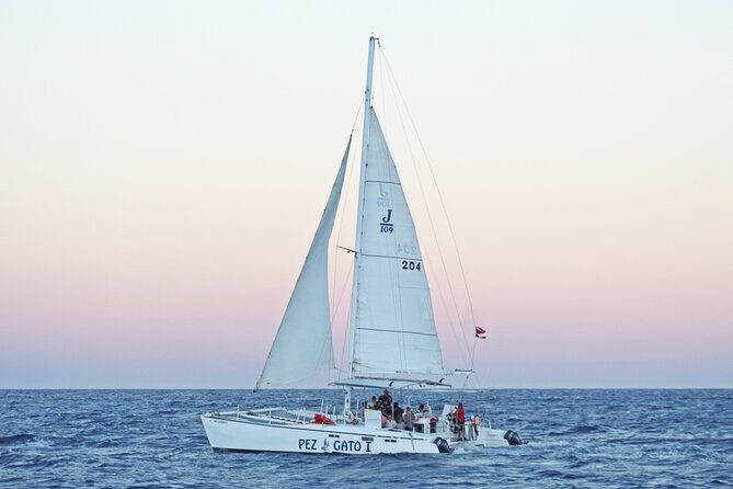 Cabo's Premier Catamaran Snorkeling: Explore the Waters! - Final Thoughts