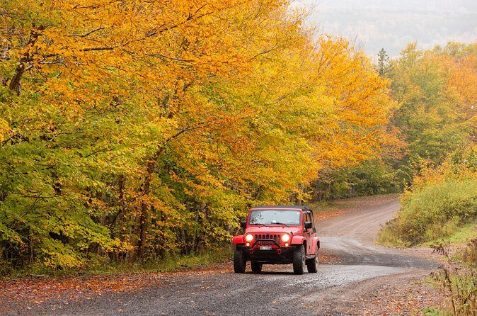 Cabot Trail Jeep Adventure - Cruise Excursion - Who Is This Tour Best For?