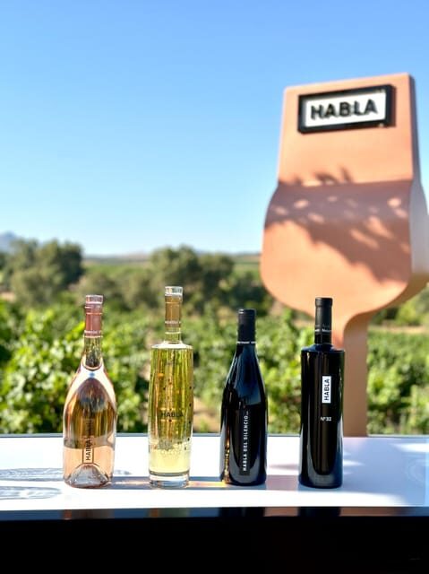 Cáceres: Bodegas Habla - An In-Depth Look at the Experience