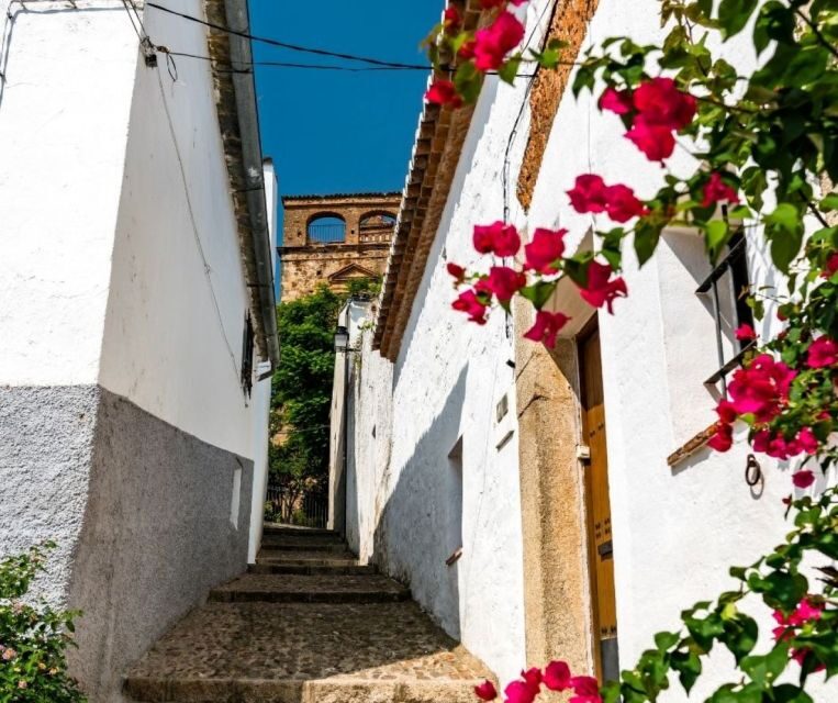 Caceres: City Highlights Private Guided Walking Tour - Key Points