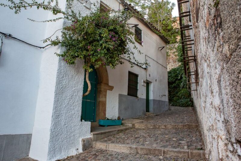 Caceres: Highlights, History and Jewish Quarter Walking Tour - What Travelers Say: Pros and Cons