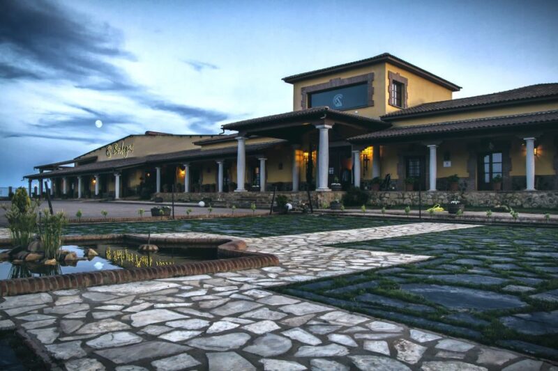 Cáceres: Winery Tour and Wine Tasting with Local Guide - What Travelers Are Saying