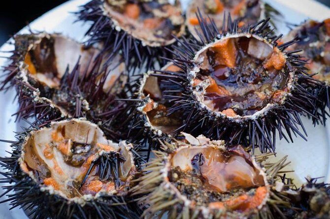 Cadiz: 3-Hour Tapas Tour - Key Points