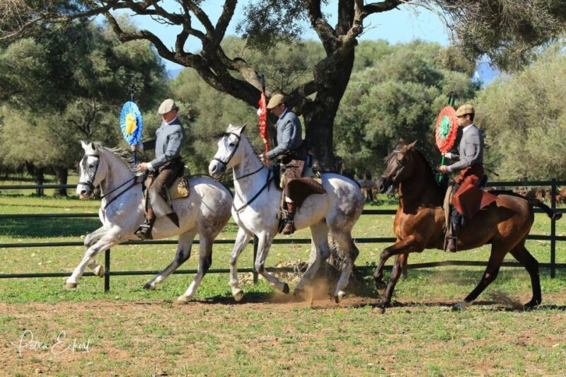 Cadiz: Andalusian Horses and Bulls Country Show - FAQ