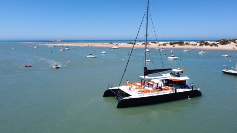 Cadiz: Bay of Cadiz Catamaran Tour with Host - Key Points