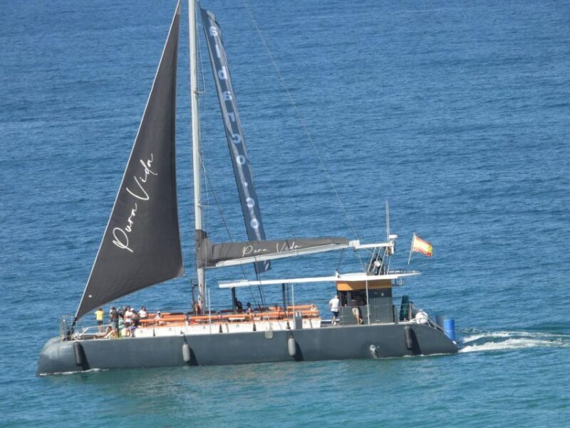 Cadiz: Bay of Cadiz Catamaran Tour with Host - The Experience and Atmosphere