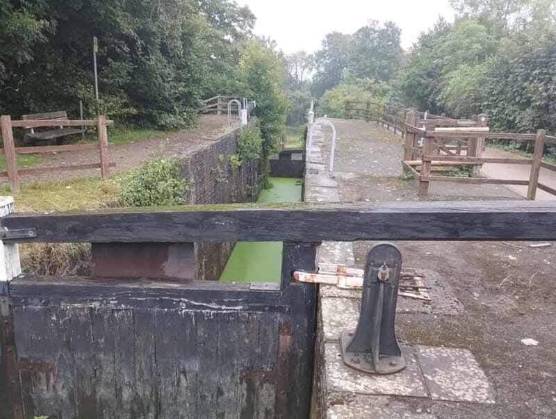 Caerleon and Newport: Roman Fortress and Historic Highlights - Authentic Insights from Reviews